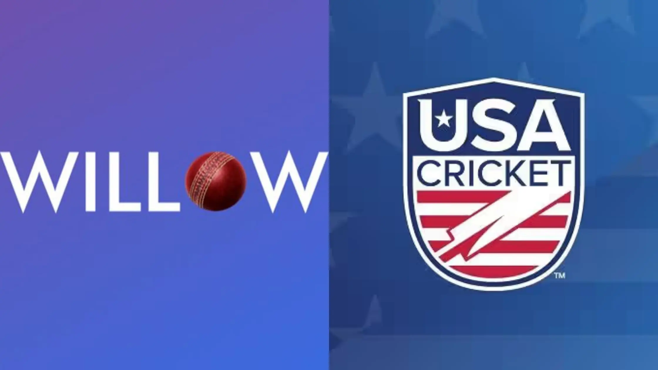 The Rise of Live Cricket Streaming: How to Catch Every Match