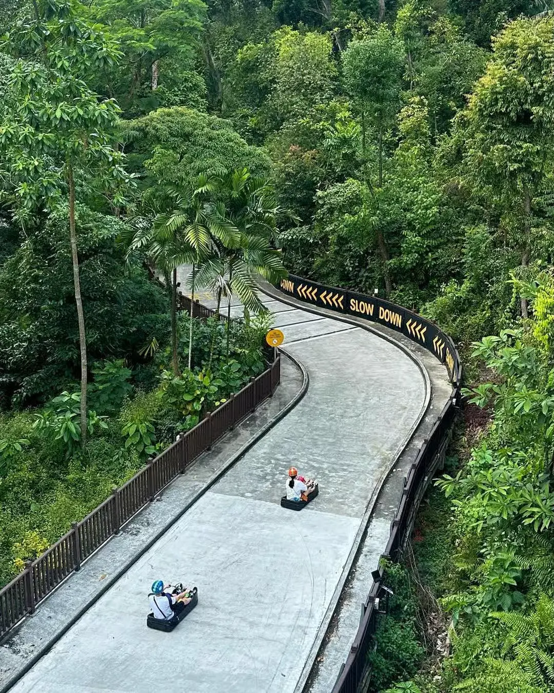 The Thrilling World of Luge: Speed and Precision on Ice