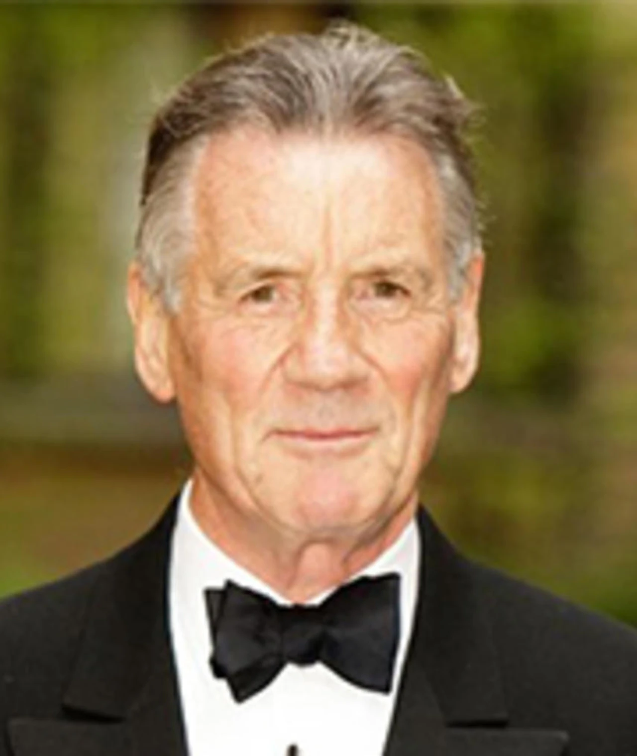 The Life and Legacy of Michael Palin