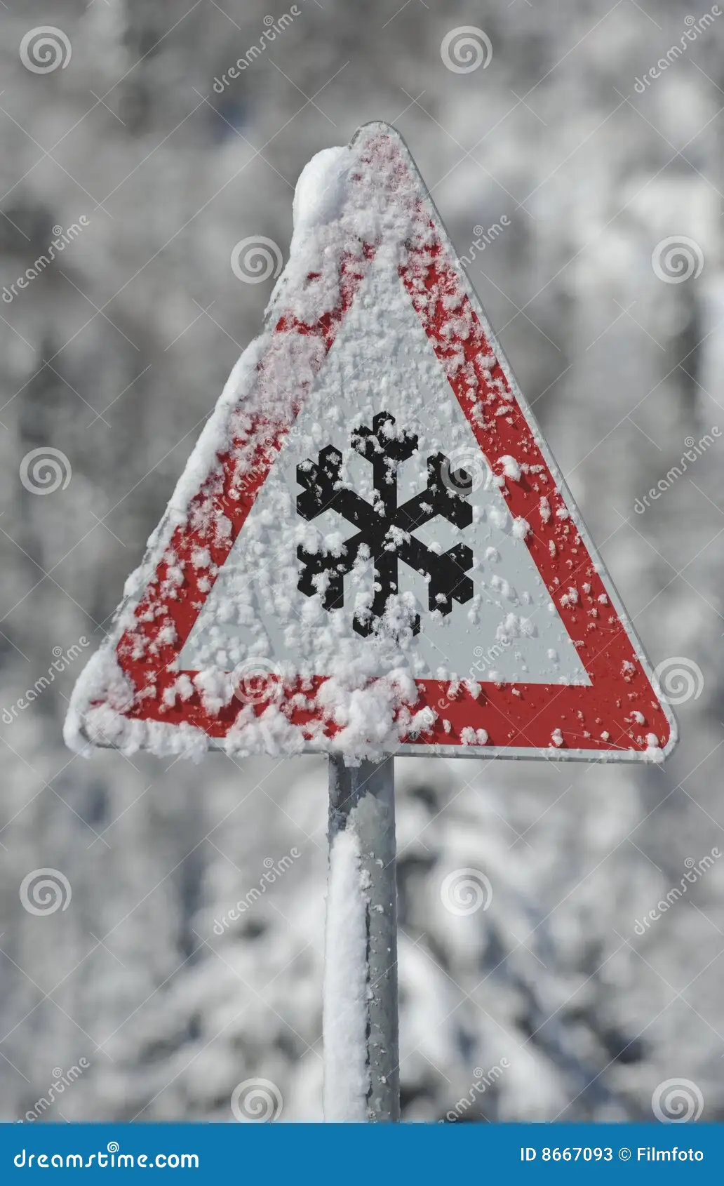 Understanding the Moderate Snow Ice Warning and Its Implications