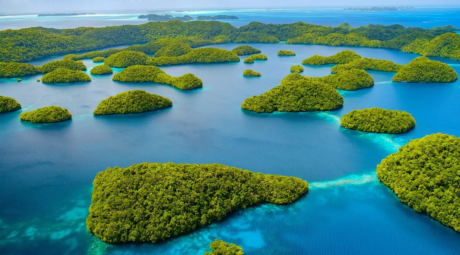 The Enchanting Islands of Palau: A Hidden Gem in the Pacific