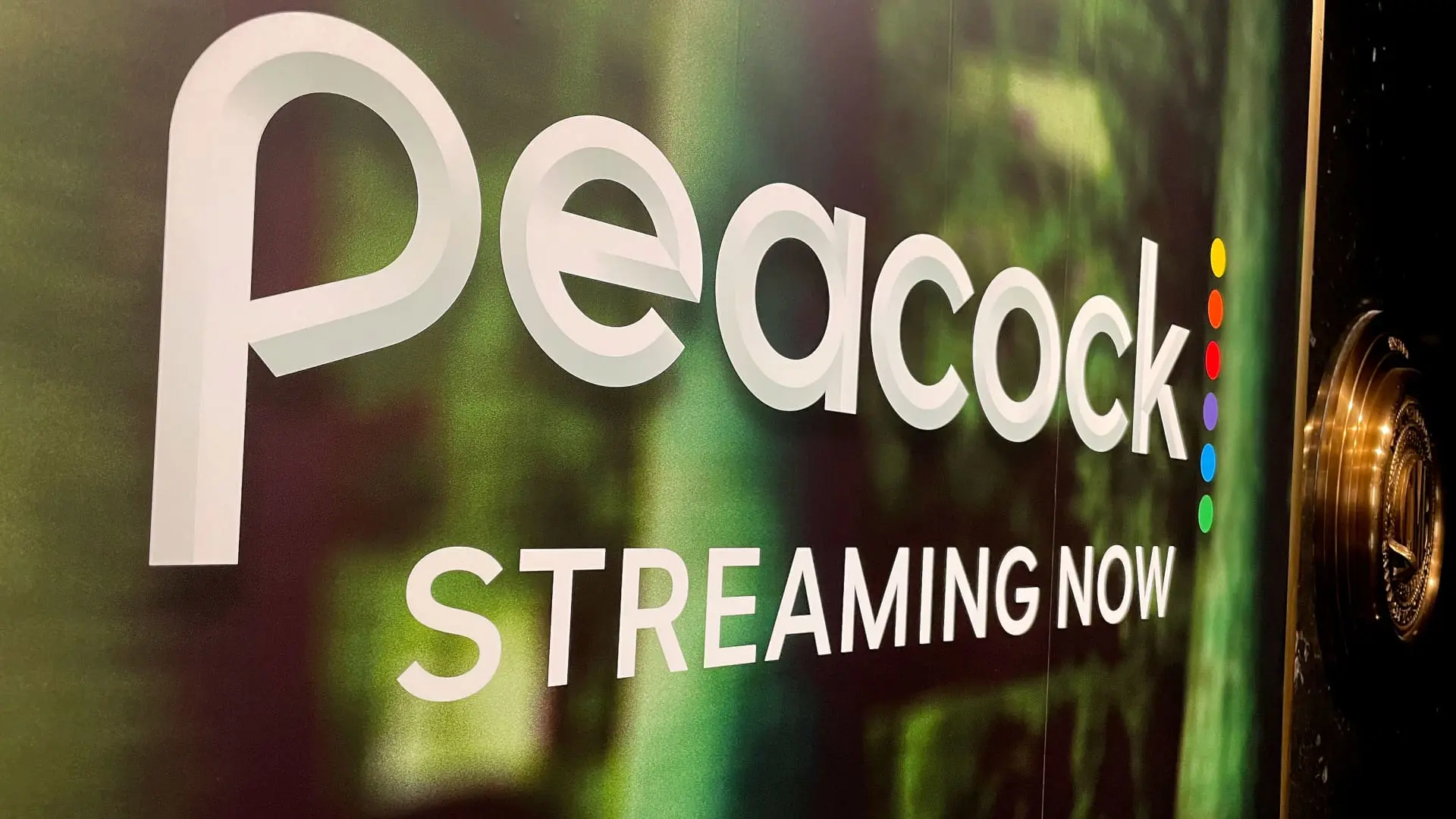 The Fascinating World of the Peacock