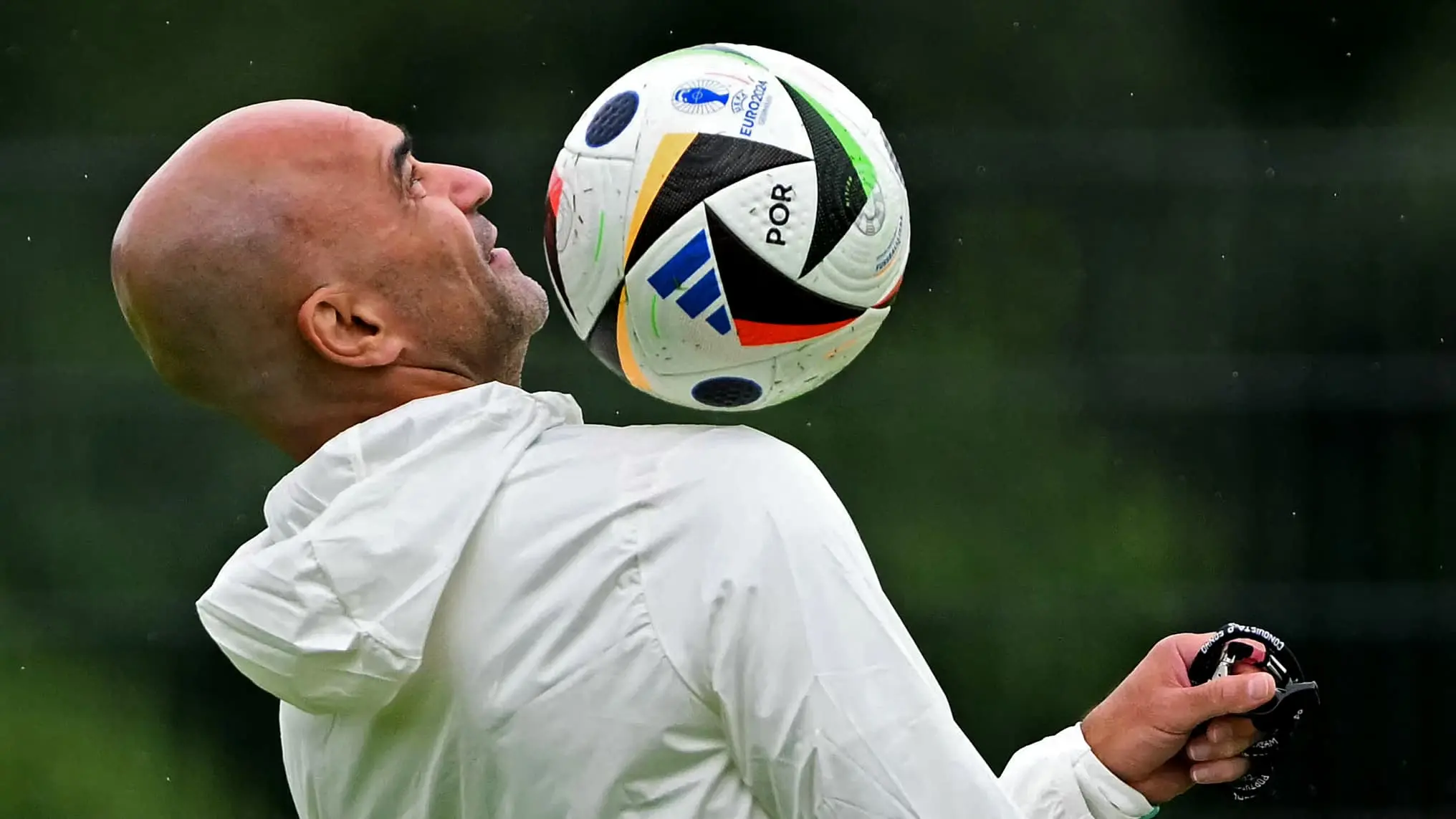 The Rise and Influence of Roberto Martinez in Football
