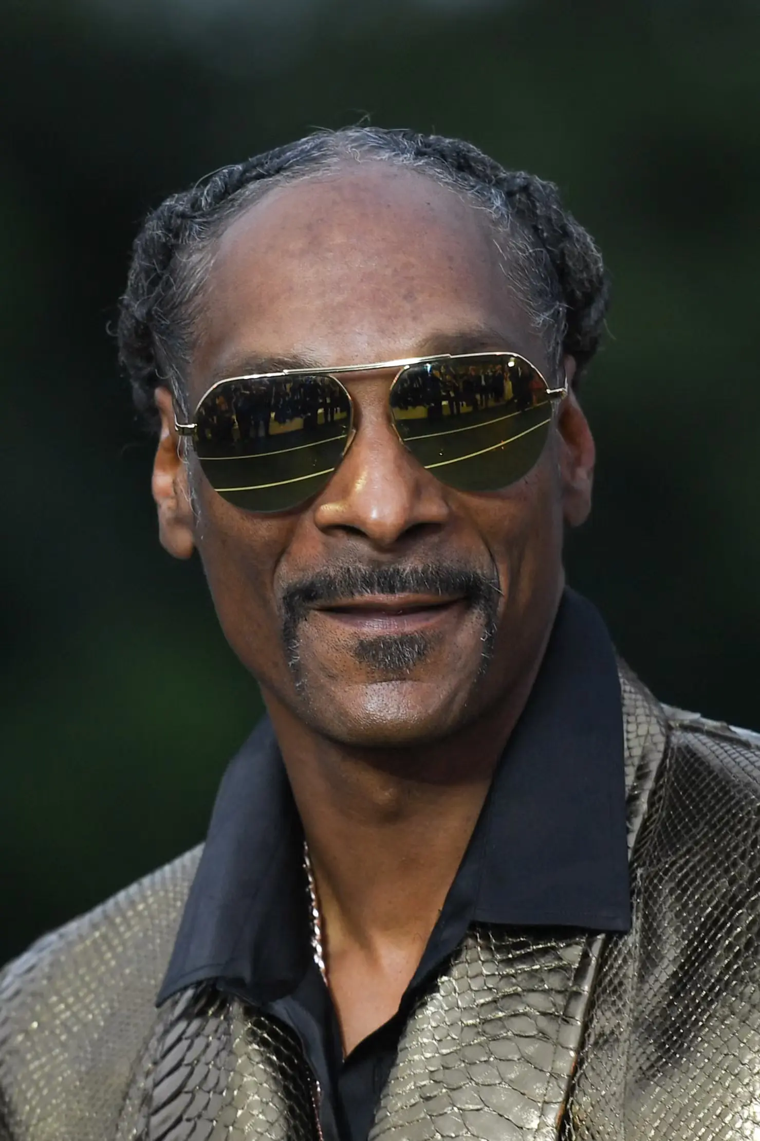 The Cultural Impact and Evolution of Snoop Dogg