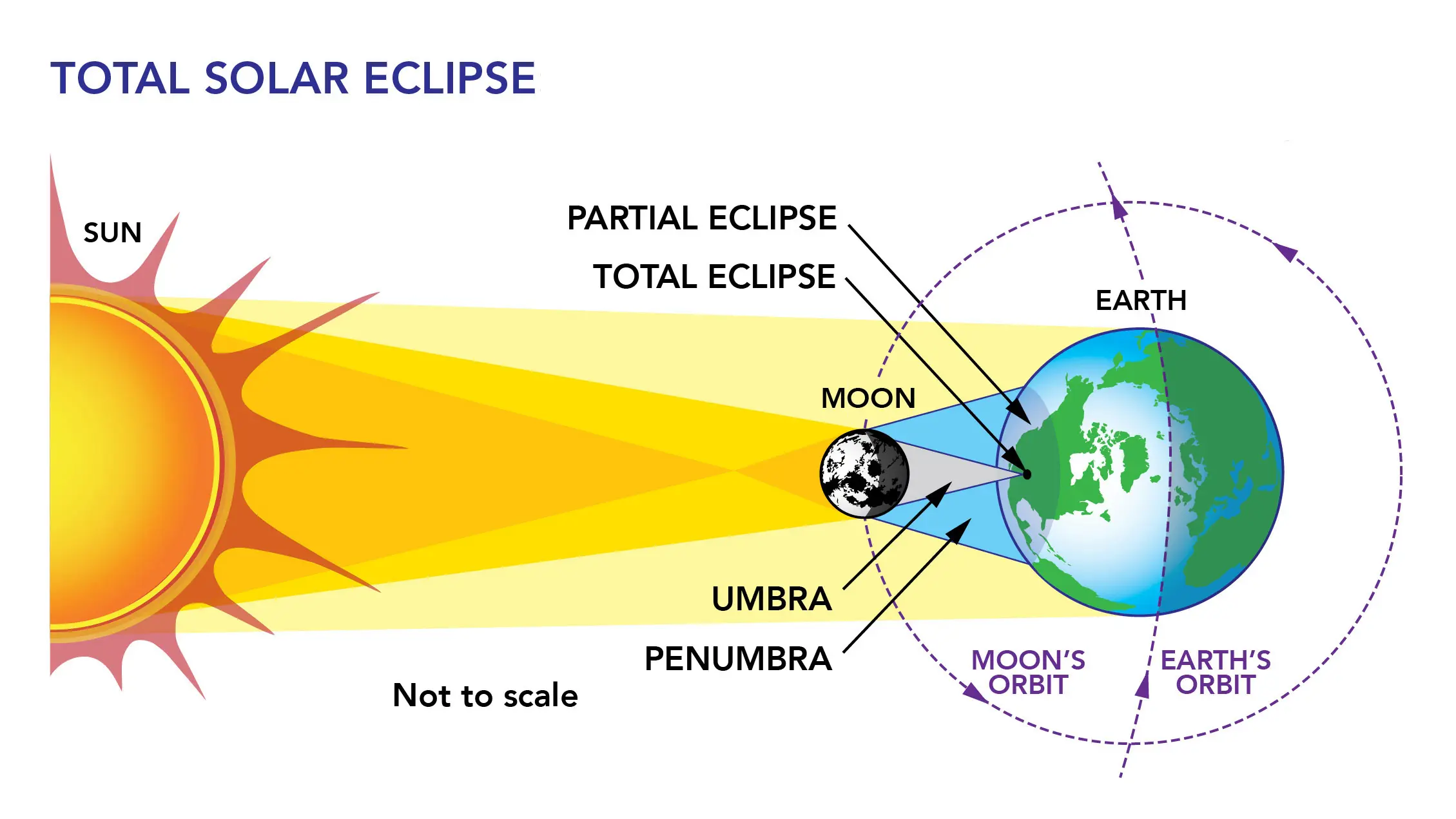 Understanding Solar Eclipses: Phenomena and Upcoming Events