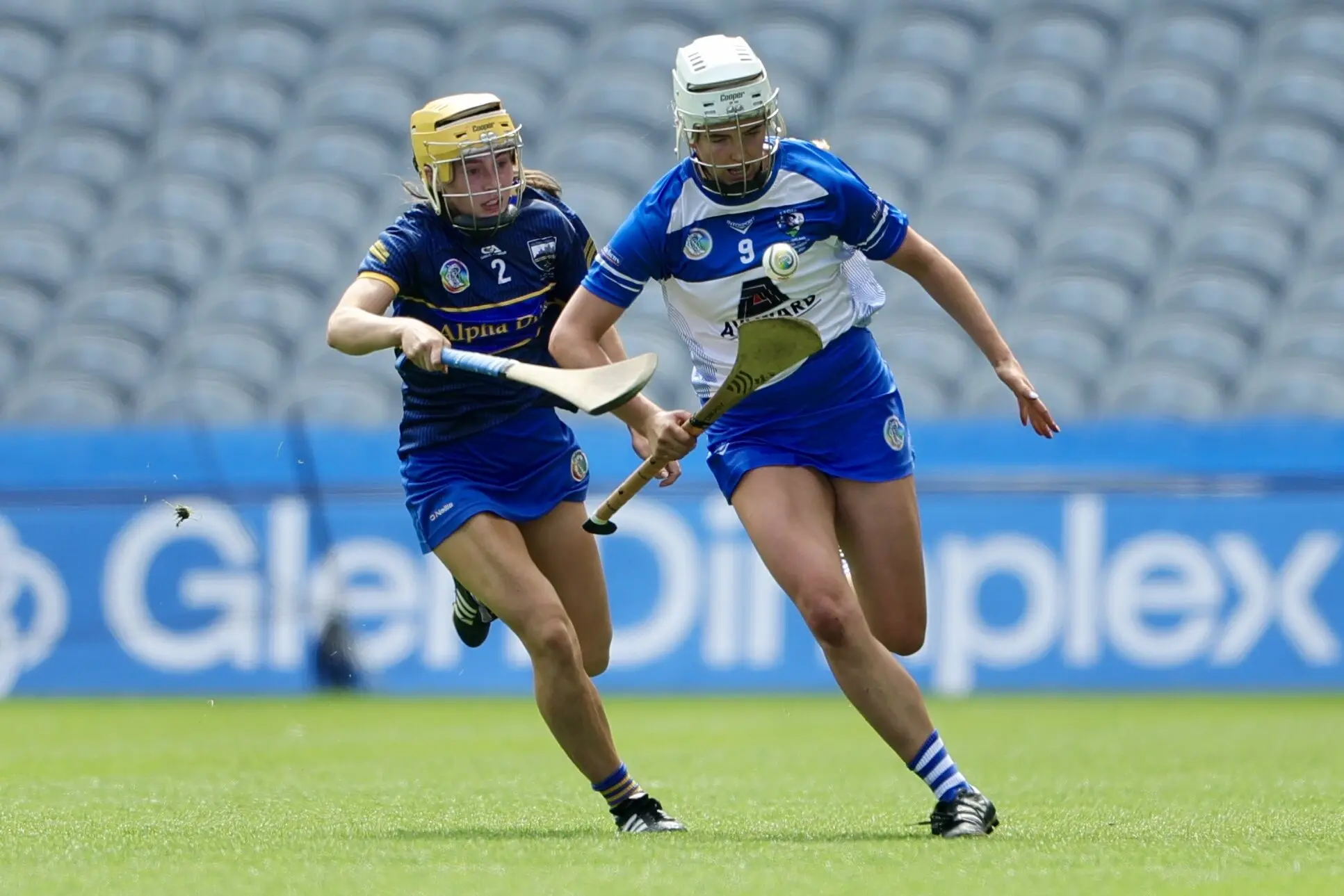 The Evolution and Importance of Sports Today