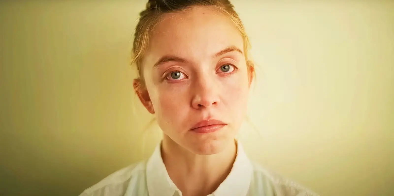 The Rise of Sydney Sweeney: Hollywood’s Bright New Star