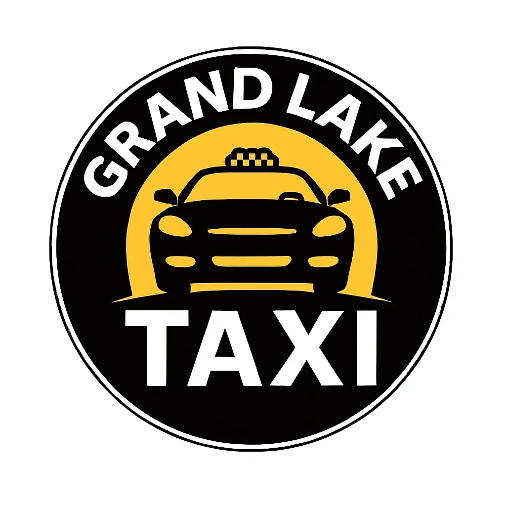 The Evolving Landscape of the Taxi Industry