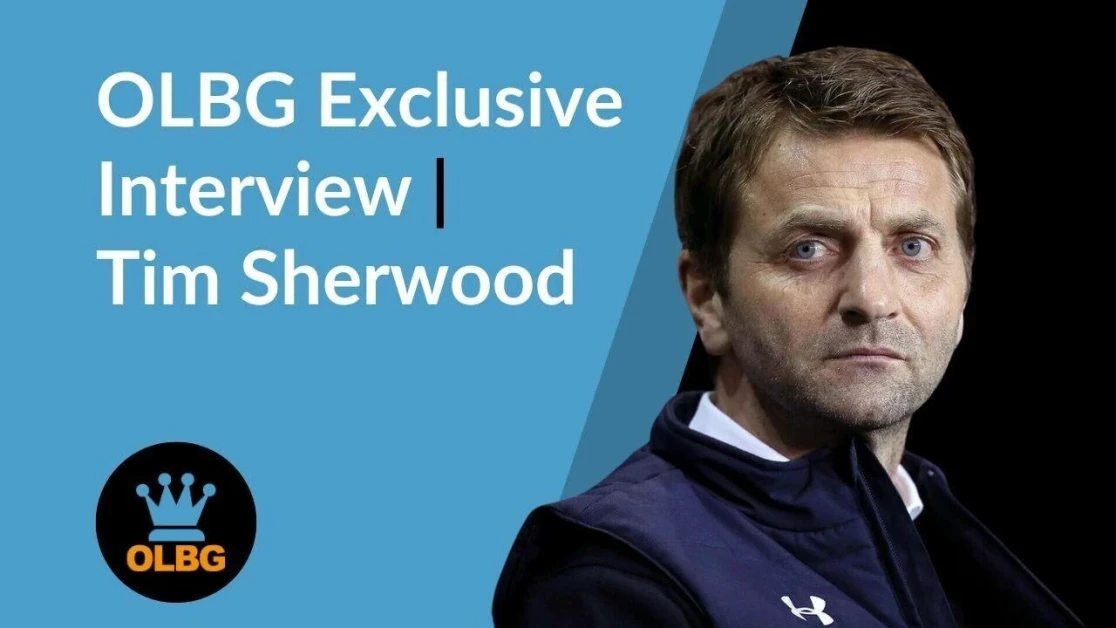 Tim Sherwood: A Look at His Career and Contributions