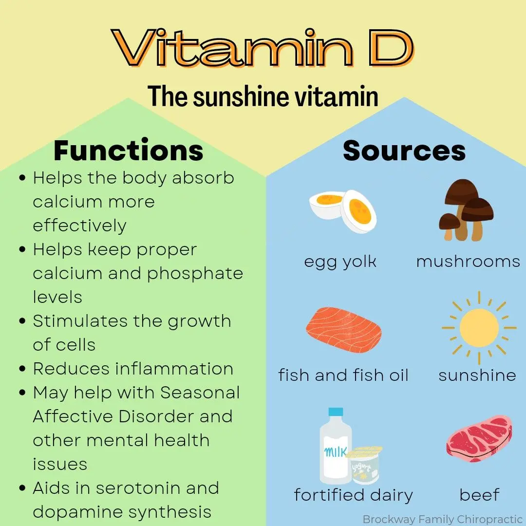 Understanding the Importance of Vitamin D for Your Health