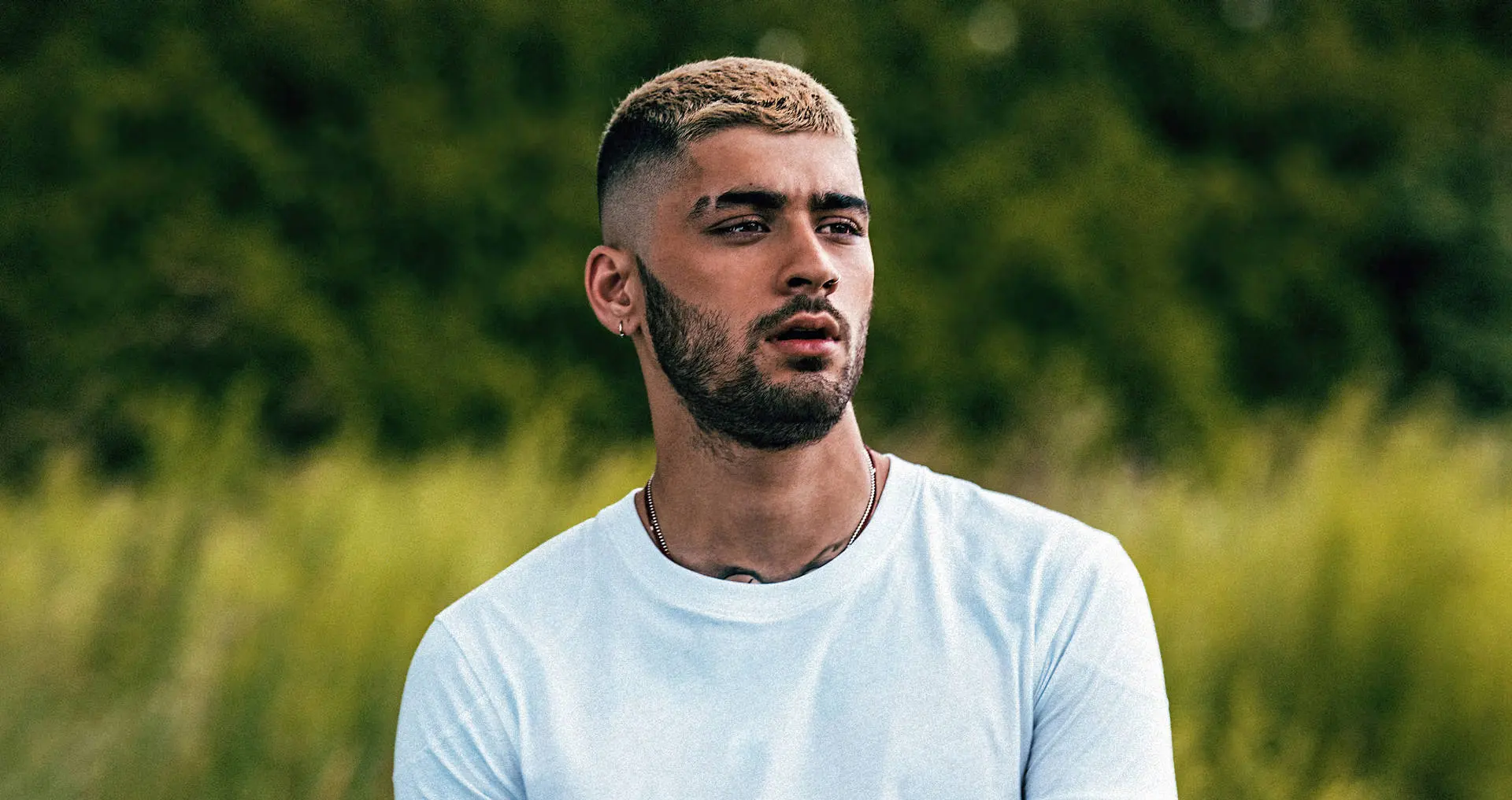 The Musical Evolution of Zayn Malik