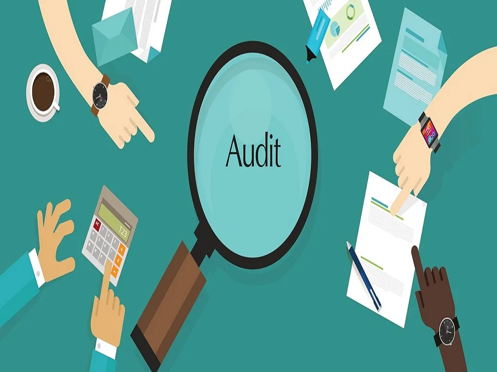 Auditor general international students: What Did the Auditor General Find About International Students?