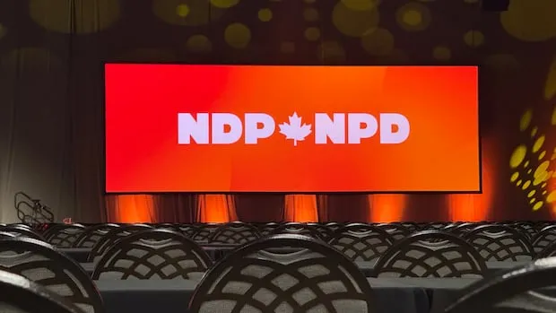 Avi lewis: What Does ‘s Leadership Bid Mean for the NDP?