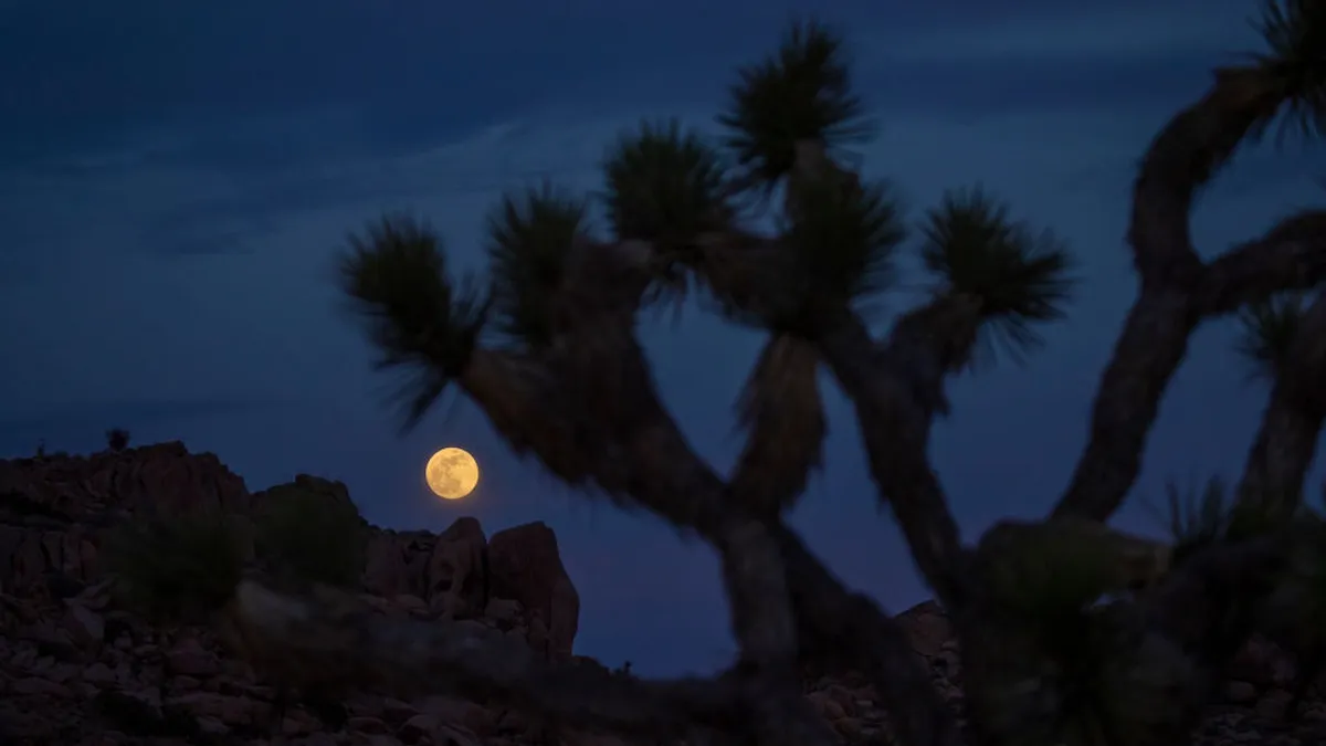 Blood Moon March 3: A Total Lunar Eclipse to Be Seen Across North America