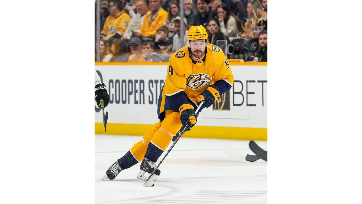 Bruins vs predators