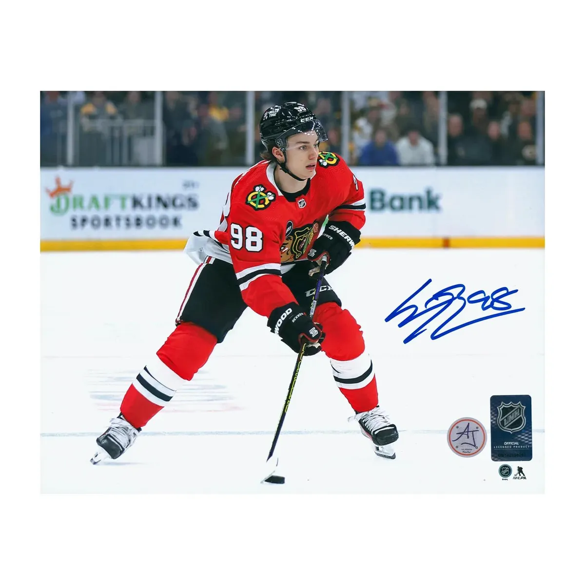 Connor bedard: How is  Performing as an Alternate Captain for the Blackhawks?