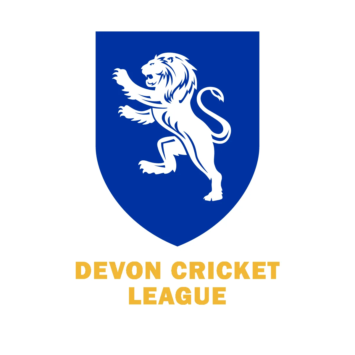 Cricket: T20 World Cup and Recent Developments