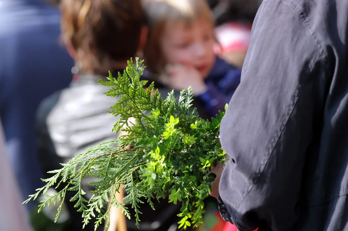Dimanche des rameaux: What is the significance of Palm Sunday in 2026?