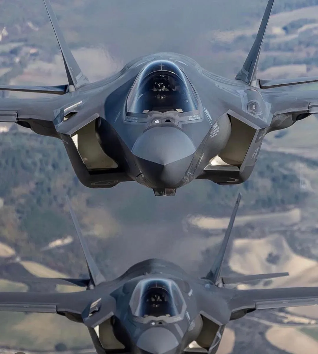 F35: What Happened to the F-35 During Its Emergency Landing?