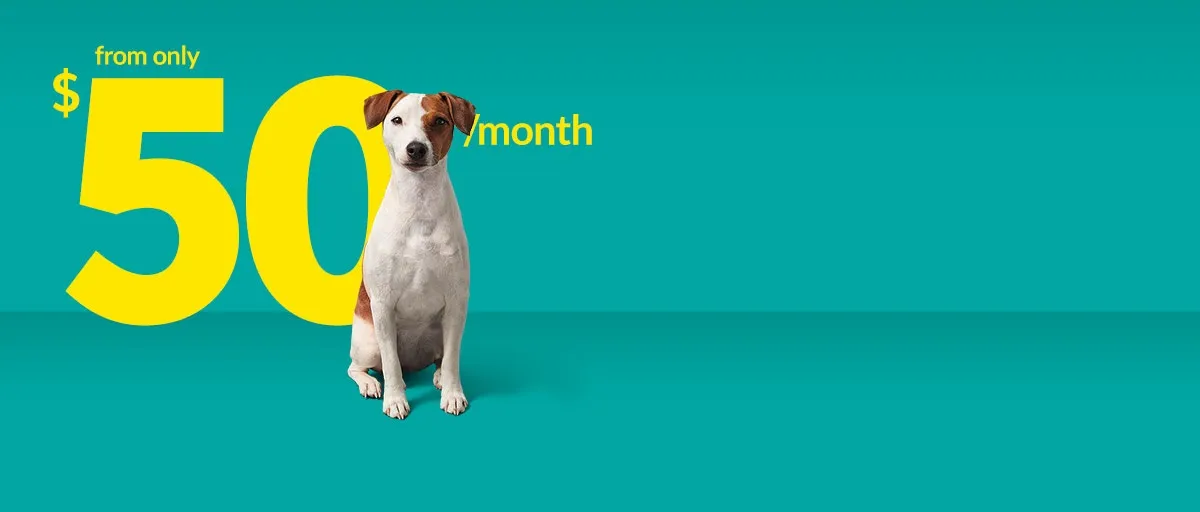 Fido 5G Launch: Automatic Upgrades for Customers Across Canada