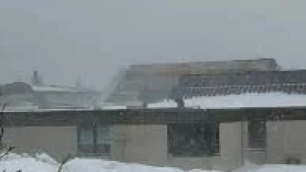 Fortis Alberta Faces Uncertainty Amid Severe Windstorm Damage