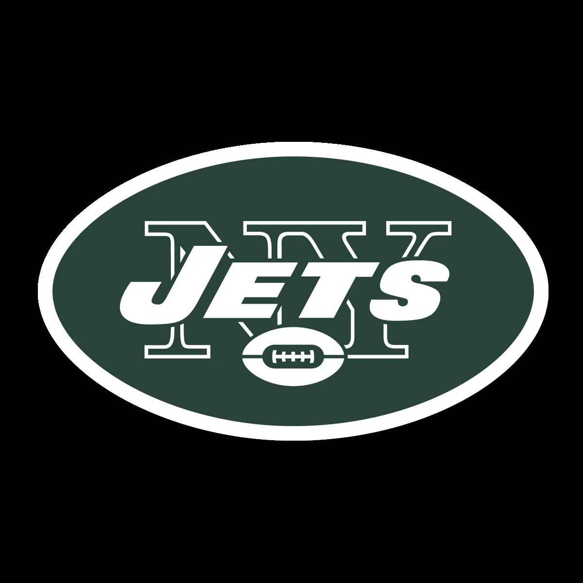 Jets: Winnipeg  Community Initiative and Playoff Push