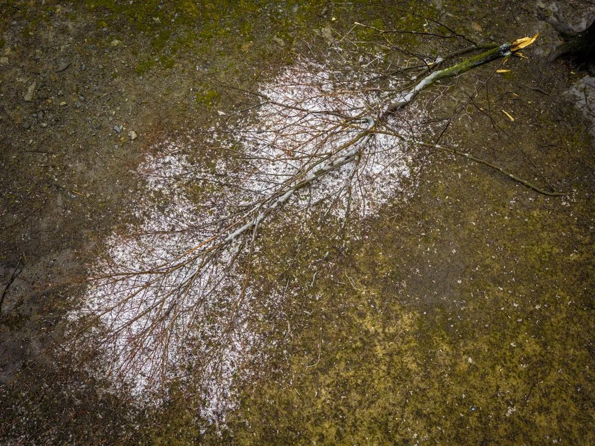 Orange warning – freezing rain