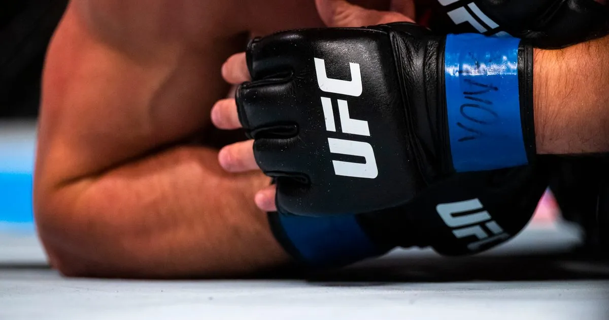 Ufc schedule: What is the Upcoming  for 2026?
