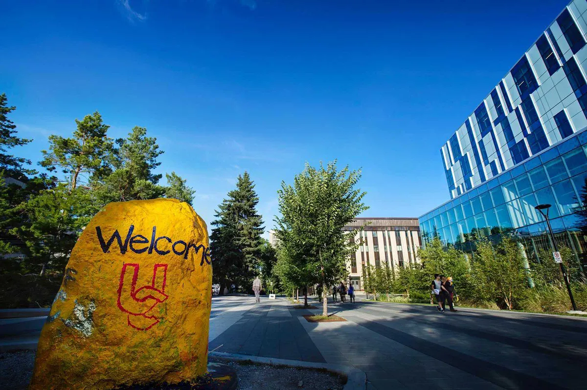 University of Calgary’s Clinical Trial on THC Capsules
