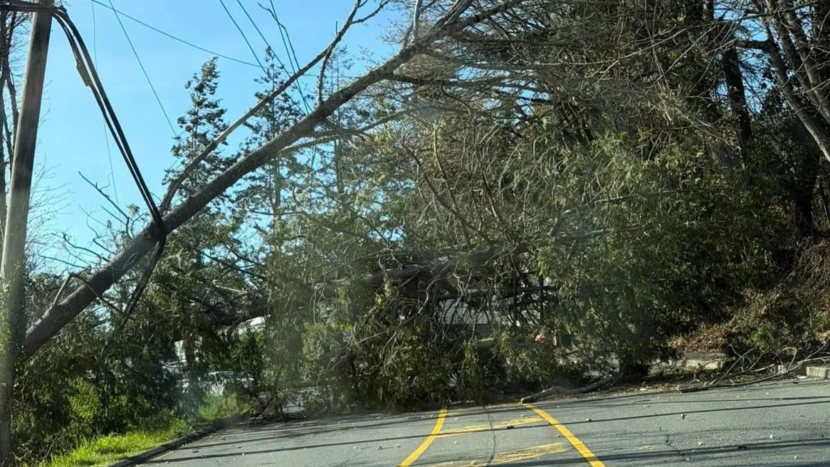 Vancouver island power outages: What Caused the Recent ?