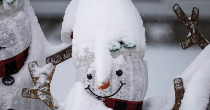 Vancouver Weather: Special Weather Statement Issued Due to Potential Snow