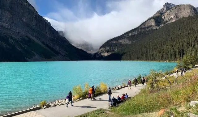 Whirling disease: Update on  in Lake Louise, Alberta