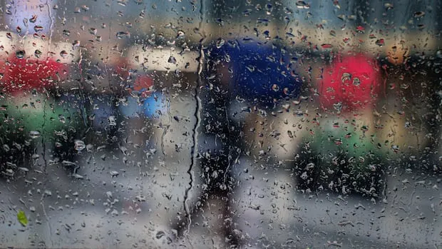 Windsor Weather: Flood Watch Issued Amid Heavy Rainfall