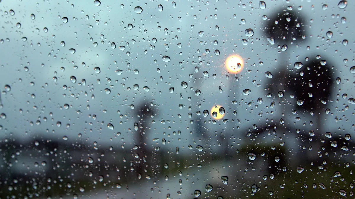 Windsor Weather Update: Warm Conditions and Rain Forecast