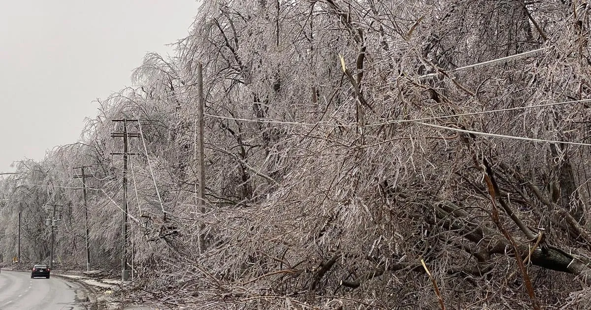 Windy Conditions Impact Southern Quebec and Acadiana