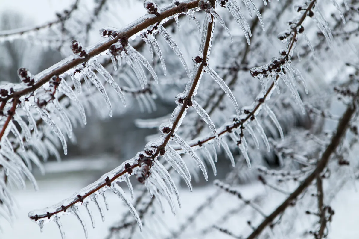 Winter Storm Warning Issued for Quebec