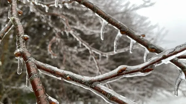 Yellow warning – freezing rain