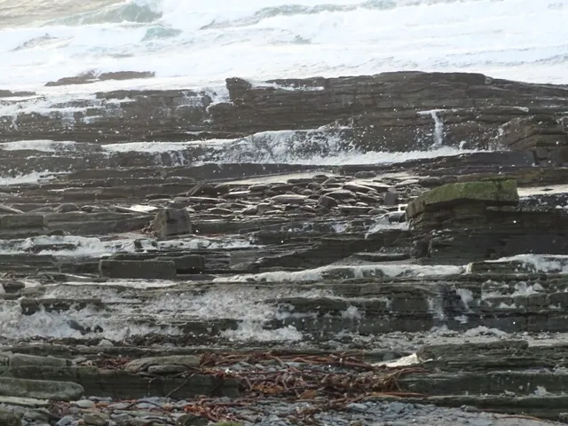 Yellow warning – wind