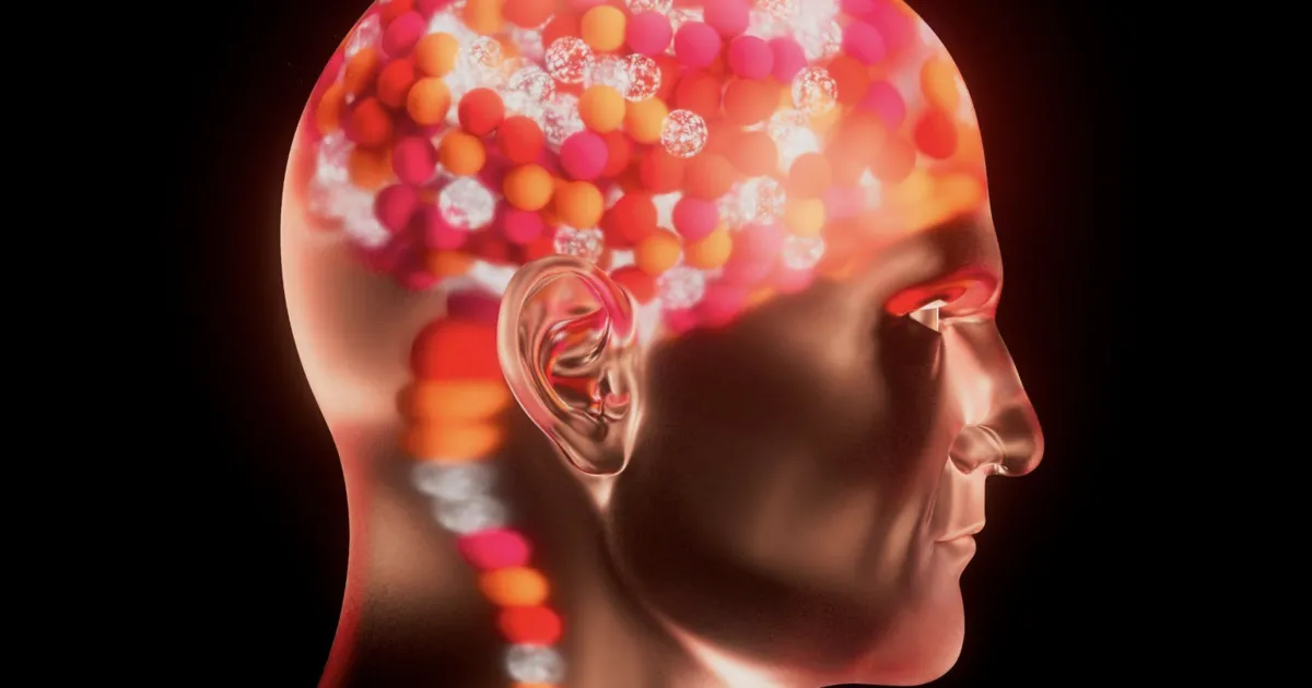 Aging brain: What Recent Discoveries Reveal About the ?
