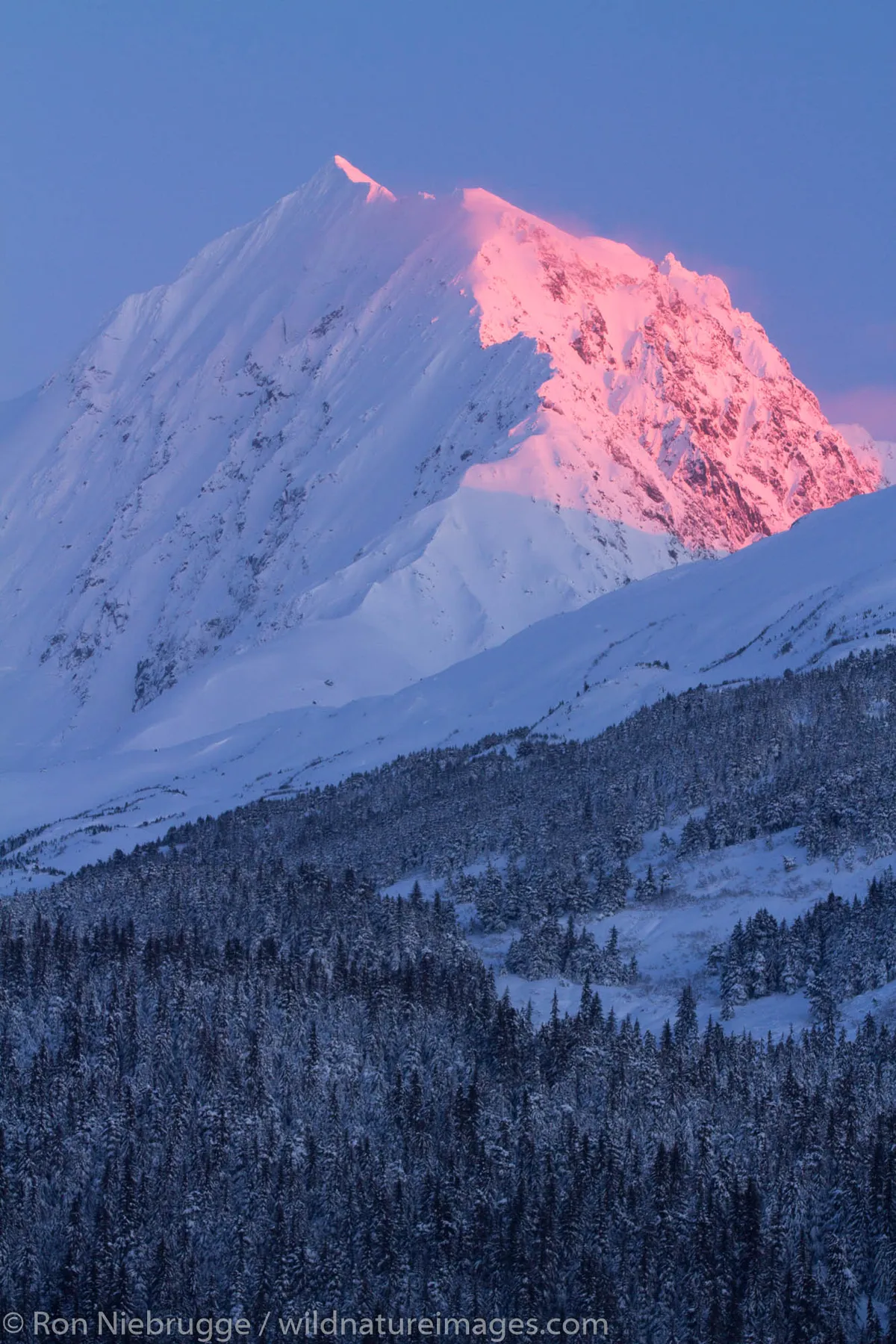 Alaska: What is the Ambler Road Project in ?