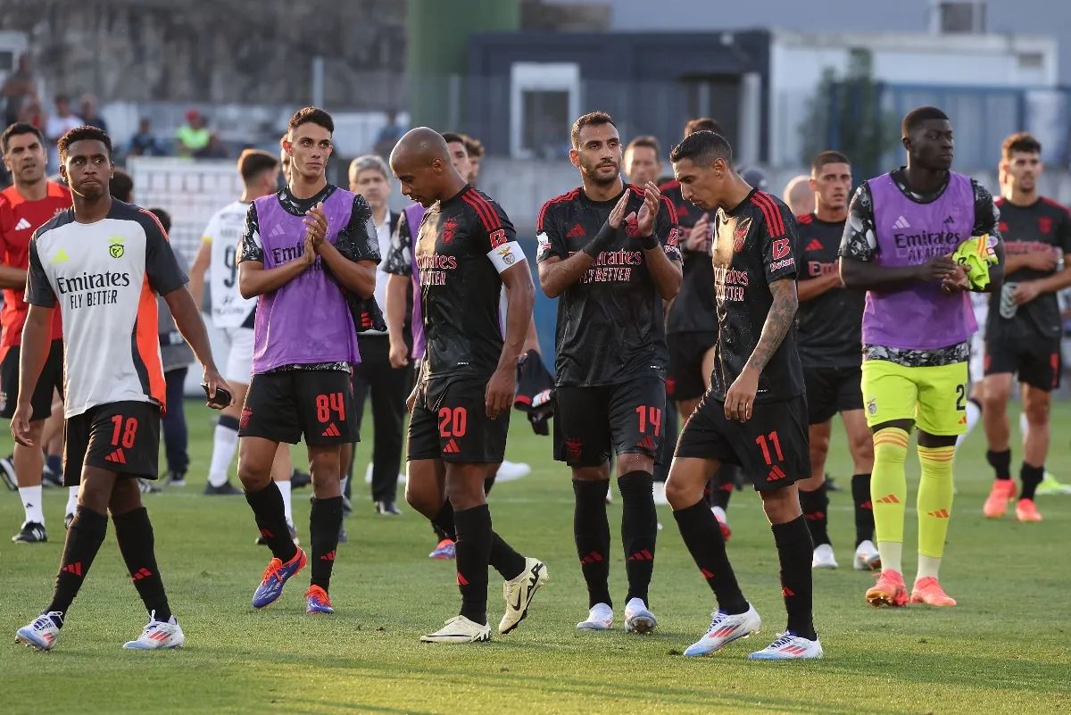 Casa pia vs benfica: What to Expect in  Match?