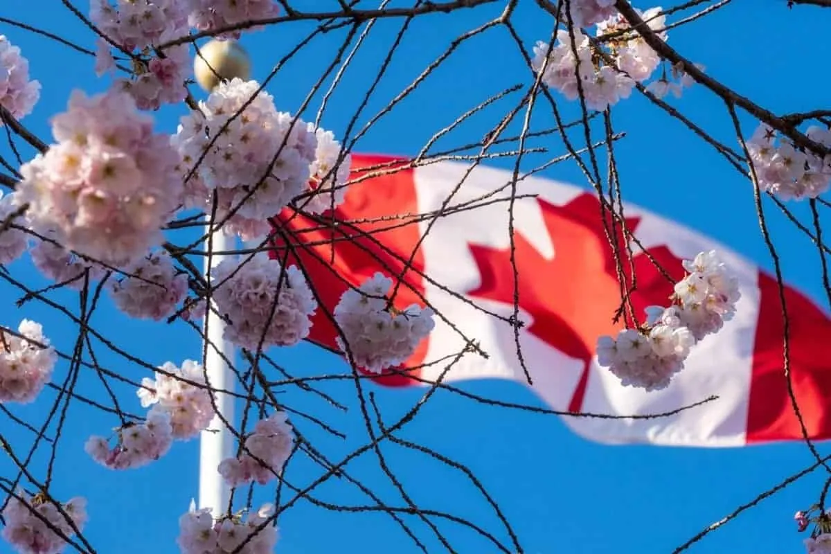 Cic news: What recent changes in Canadian immigration mean for ?