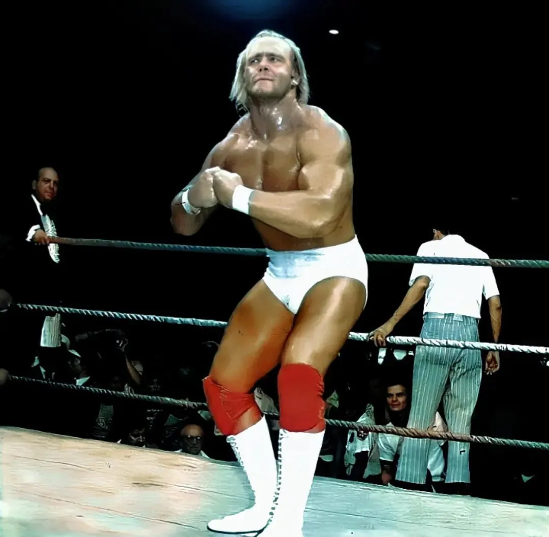 Hulk hogan: What Happened to ?