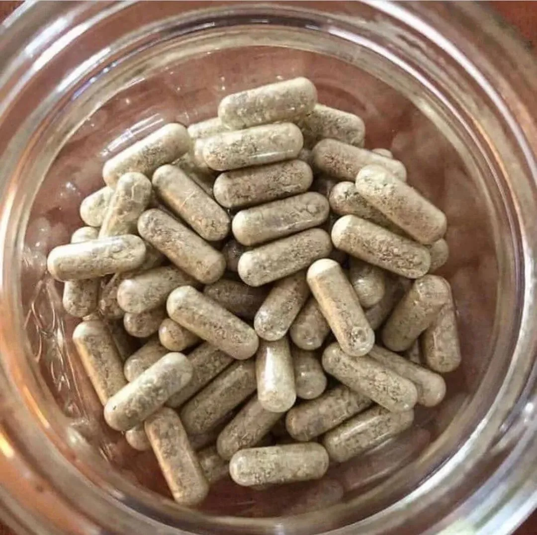 Ibogaine: What Does  Mean for the Future of Psychedelic Treatments?