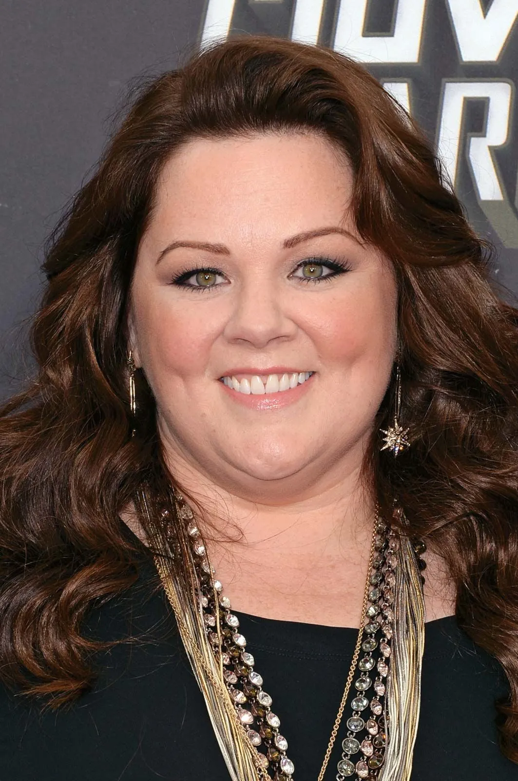 Melissa mccarthy: What Recent Developments Surround ?