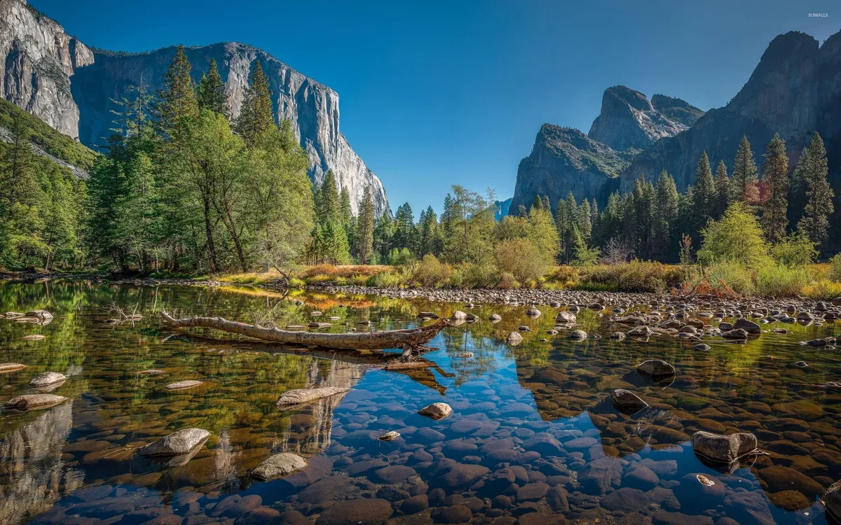National park: What Are the Latest Trends in s?