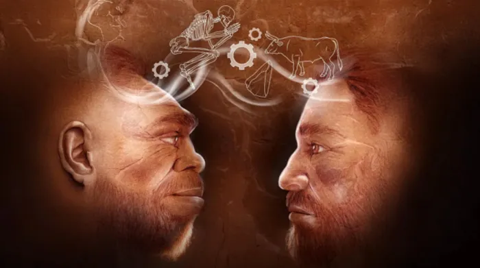 Neanderthal: What Do Recent Discoveries Reveal About s?
