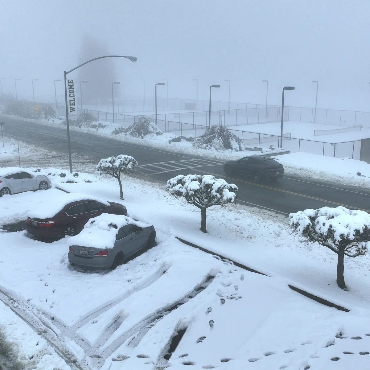 Tempête de neige: What to Expect from the Upcoming Snowstorm in Quebec?