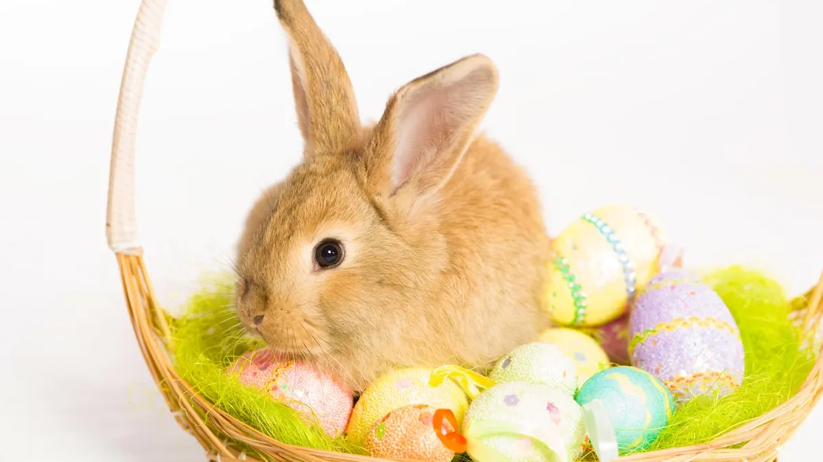 Vendredi saint: What Happened on Good Friday in Quebec?