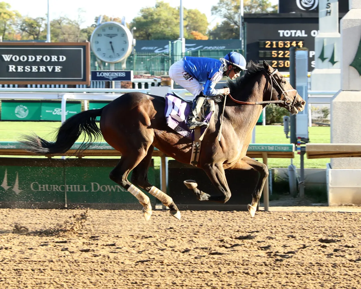 Kentucky derby horse race: What Makes the 2026 Significant?